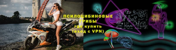 дмт Алексин