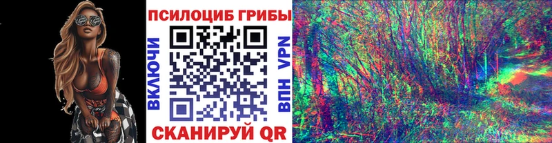 ссылка на мегу ссылки  darknet Telegram  Псилоцибиновые грибы Psilocybine cubensis  Макушино 