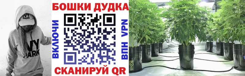магазин  наркотиков  Макушино  Канабис семена 